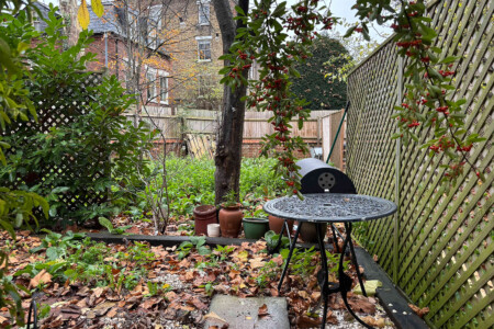 c89dqj3mzgqm1wj5blqw