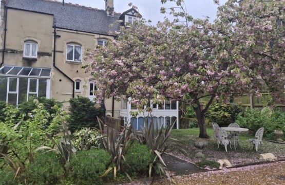 v2n7hu3flg2nxlnsr1jo